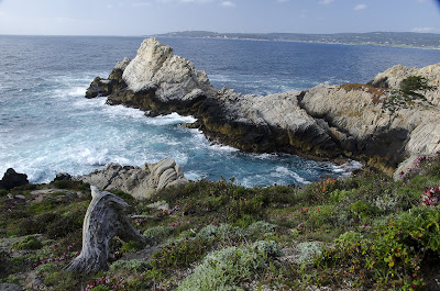 Montery - a bay in point lobos