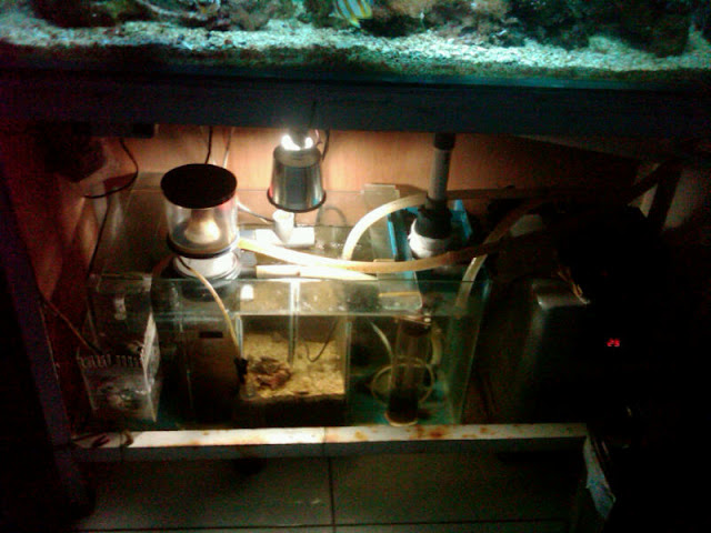 Sump.jpg