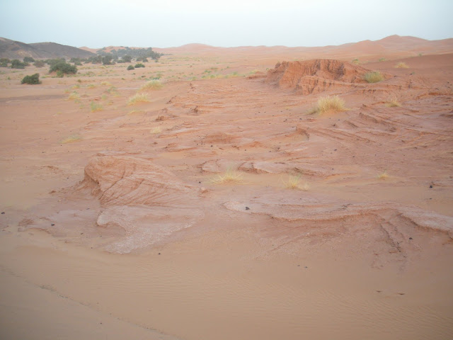 موسوعة صور من المغرب DSCN0507