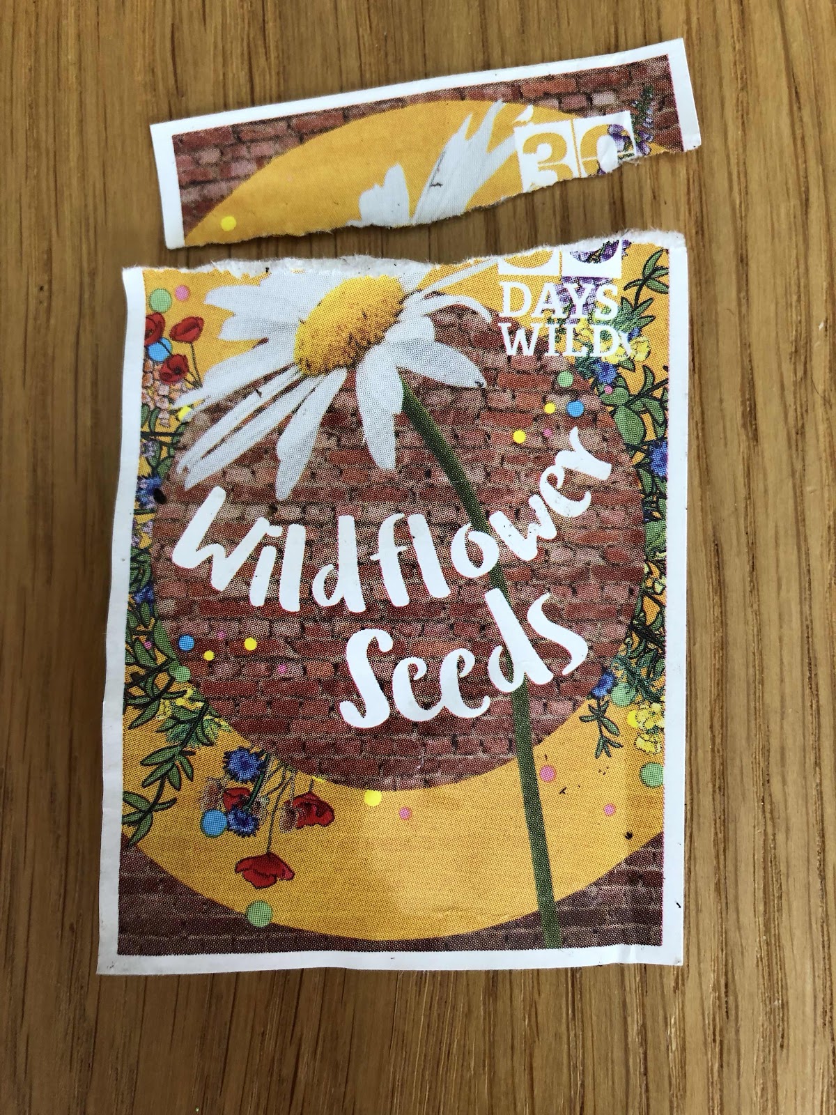 Wildflower seeds 