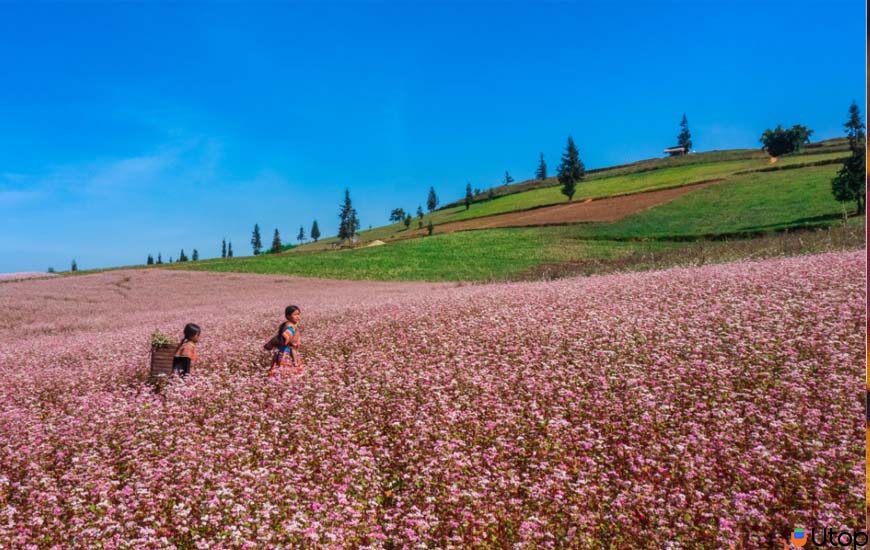 Đôi nét về du lịch Hà Giang  