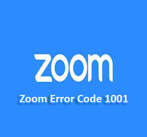 zoom error code 1001