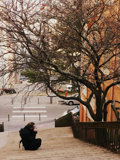 Sortie Lyon Croix-Rousse : les photos Arbrephoto