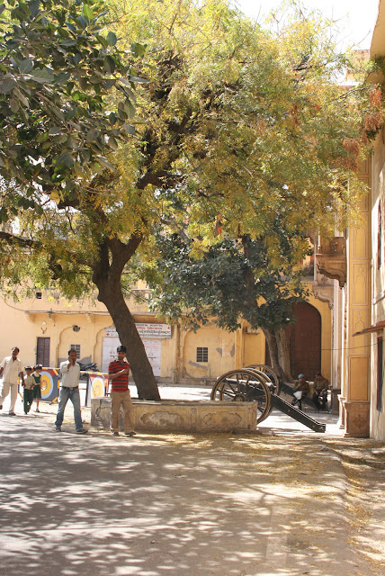 Pink City Summer