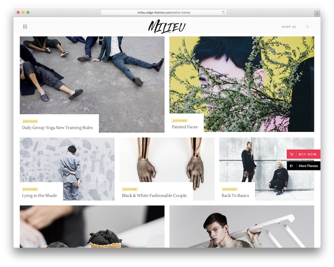 tema de wordpress de arte de ambiente