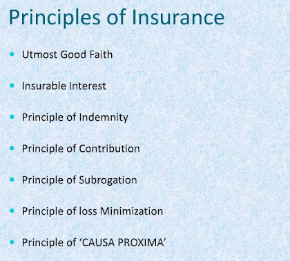 insurance principles
