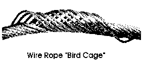 Wire Rope Bird Cage