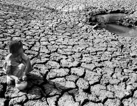 Bitácora: Rompiendo cocos.-La sequía y la desertificación-17-6-2009