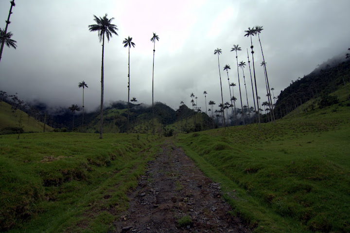 Колумбия : По дороге с облаками