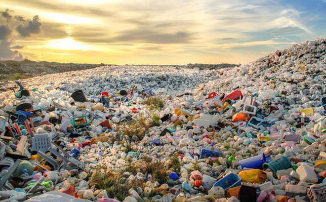 Với hàng triệu tấn rác nhựa được thải ra các đại dương, môi trường sống của sinh vật biển đã bị hủy hoại trầm trọng. Ảnh: TL