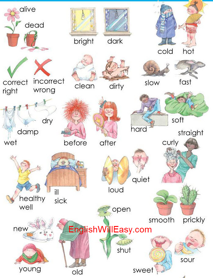 opposites <!  :en  >Opposites Words by Picture for Kids<!  :  > dictionary children 