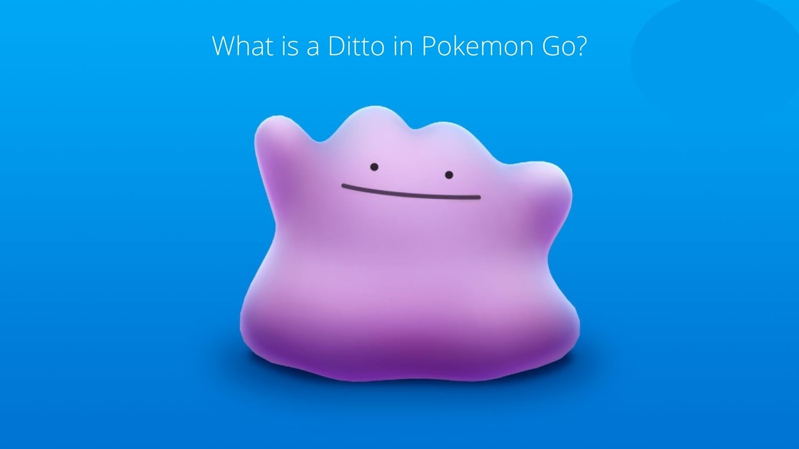 What is a Ditto in Pokemon Go