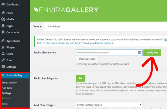 Insira a chave de licença do Envira Gallery