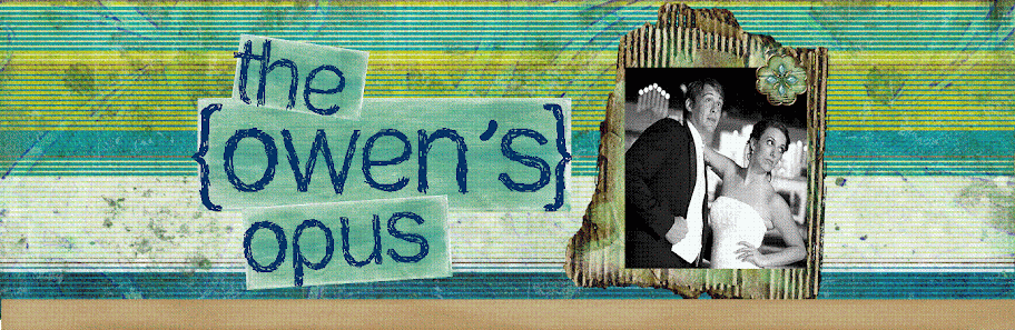 The Owen's Opus