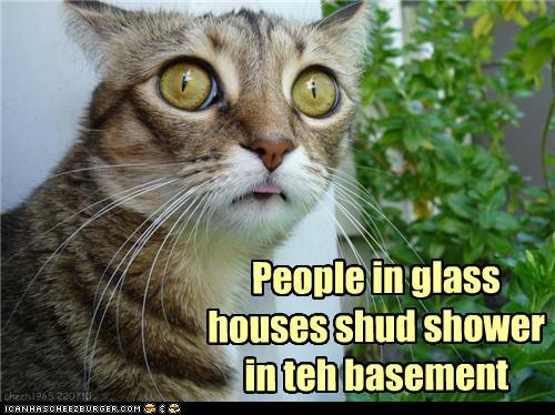 photo of a cat with big eyes:people in glass houses should shower in the basement