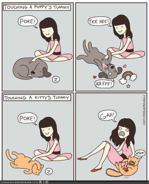 cartoon of petting a dog versus a cat
