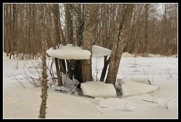 Литва. Поездка к Куршкому заливу зимой. 2011