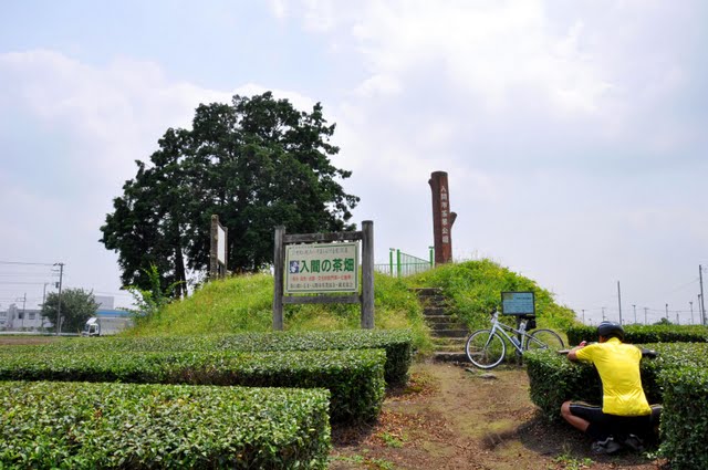 茶業公園全景