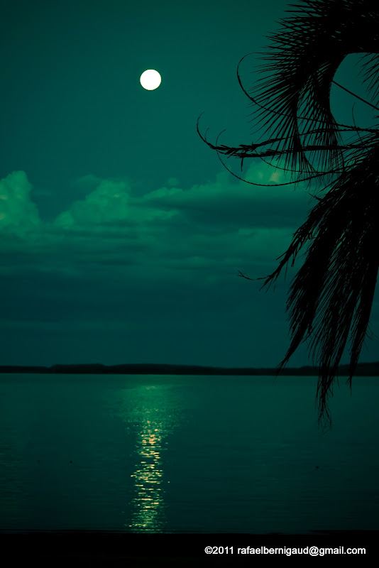 Para que disfruten de mis fotos (Todo Propio) Para que disfruten de mis fotos (Todo Propio)