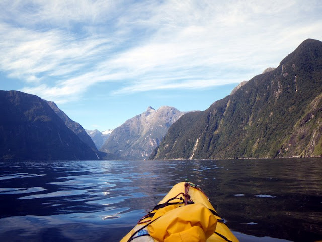 milford sound kayaking