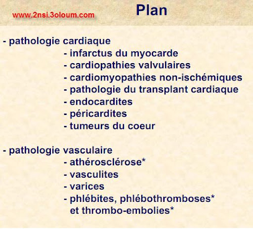 patho cardio vasculaire 2
