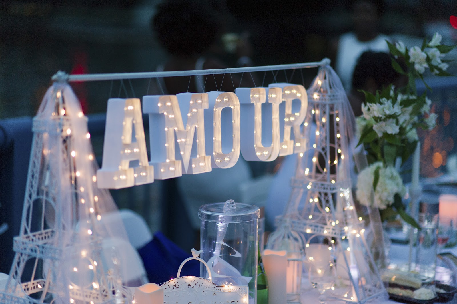 Diner en Blanc 2016 Boston photo TriciaMcCormack_36 HI.jpg