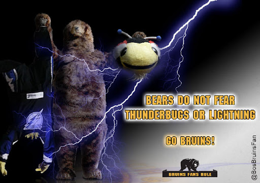 New Boston Bruins Hockey Rules --Thunderbugs & Lightning