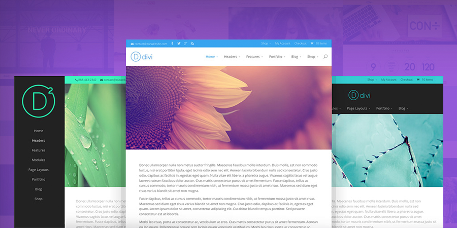 Tema WordPress Flexível Divi para Infoprenuers