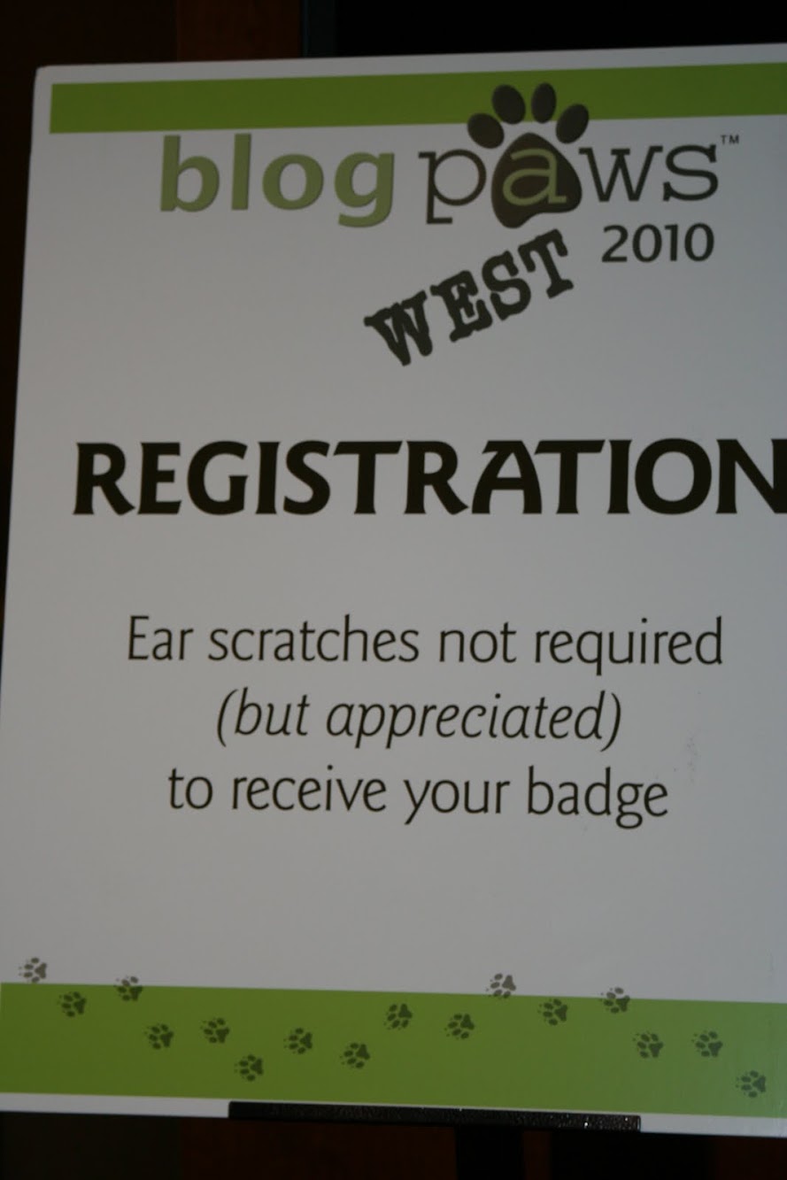 Blogpaws from the Beginning in Pictures