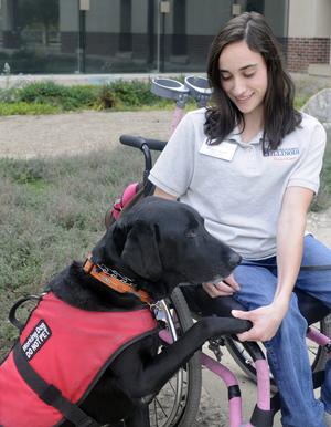 Training of Service Dogs on College Campus