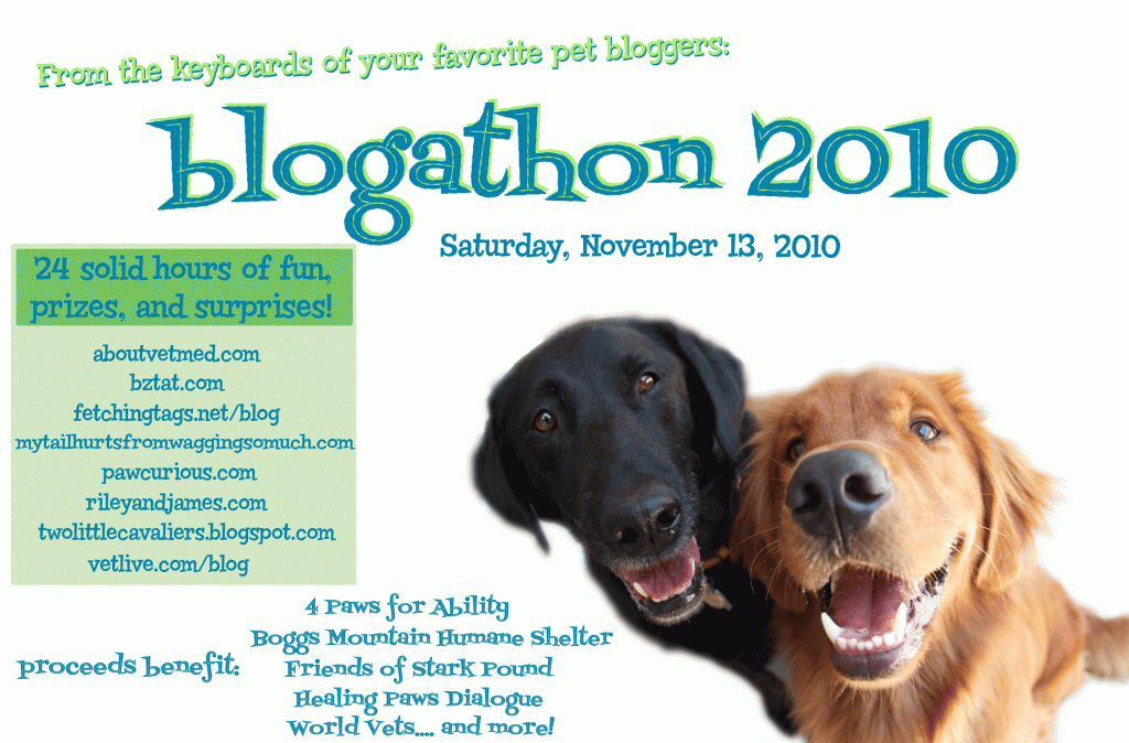 The Blog-A-Thon List is up!
