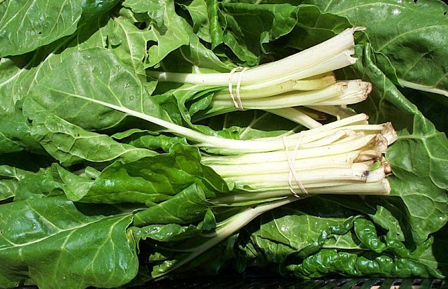 Freshly picked chard.  thanks to lebanesegarlicsauce.com for the photo.