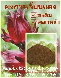 คลิก 1 ครั้ง ที่ภาพเพื่อชมภาพขยาย ผงกระเจี๊ยบแดง เพื่อสุขภาพ คลิก 2 ครั้งติดกัน เพื่อลดขนาดภาพลงเท่าเดิม ผงสมุนไพร ผงกระเจี๊ยบแดง