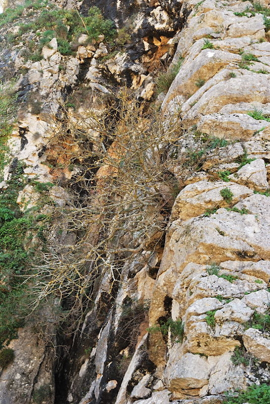 Excursión a las Cuevas del Hundidero y Gato. 054%20Cueva%20del%20Gato%2020110130%20080