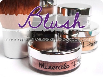 Giveaway-make-up-minerale-minerale-puro-blush-1 Giveaway-make-up-minerale-minerale-puro-blush-1