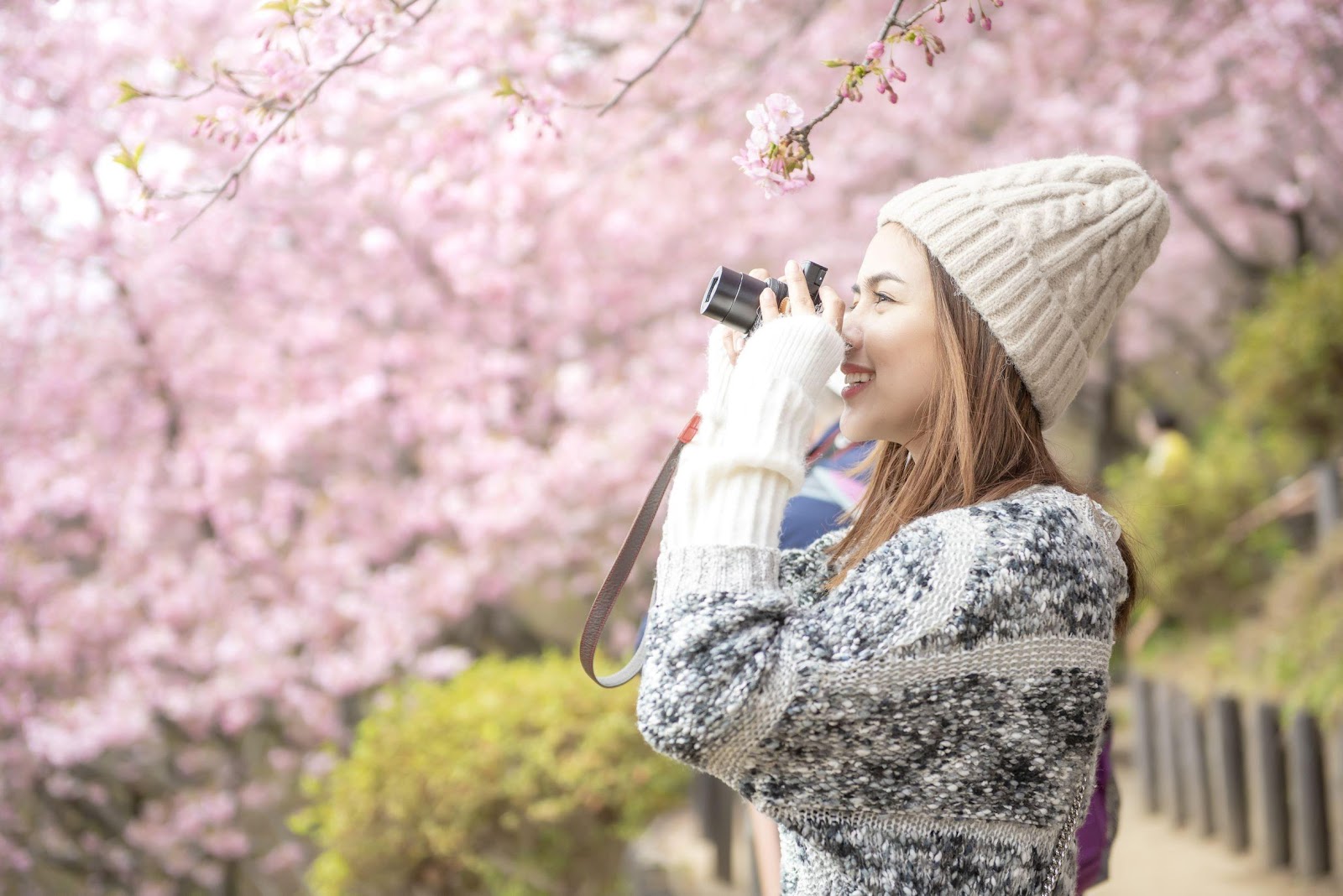 2月踏入櫻花季，首推短途旅行推介當然是港人第二個家的日本。