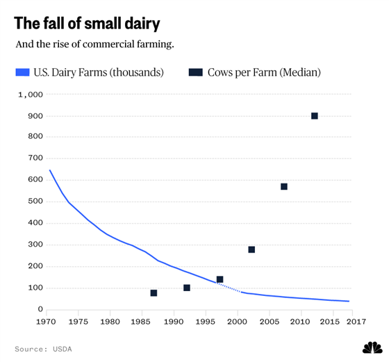 Best advice to U.S. dairy farmers? 'Sell out as fast as you can'