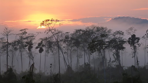 Lower Urubamba River at Dawn, Amazon, Peru - Copy.jpg