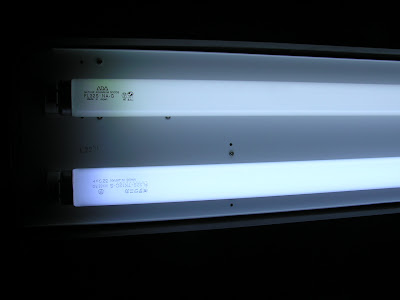 テクニカ レフクリアランプ と ADA