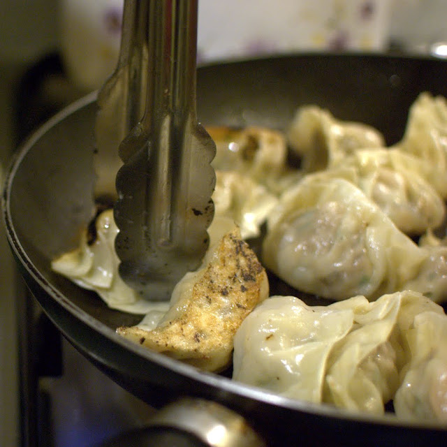 Pan Fried Dumplings