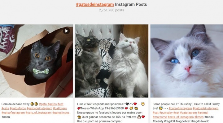 Image - Picuki: explore Instagram profiles without logging in