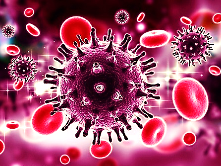 Virus HIV xâm nhập vào cơ thể làm suy giảm hệ miễn dịch