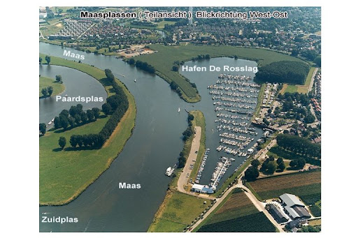 Hollande : Région du Maasplassen : 5 années de prospection. 13