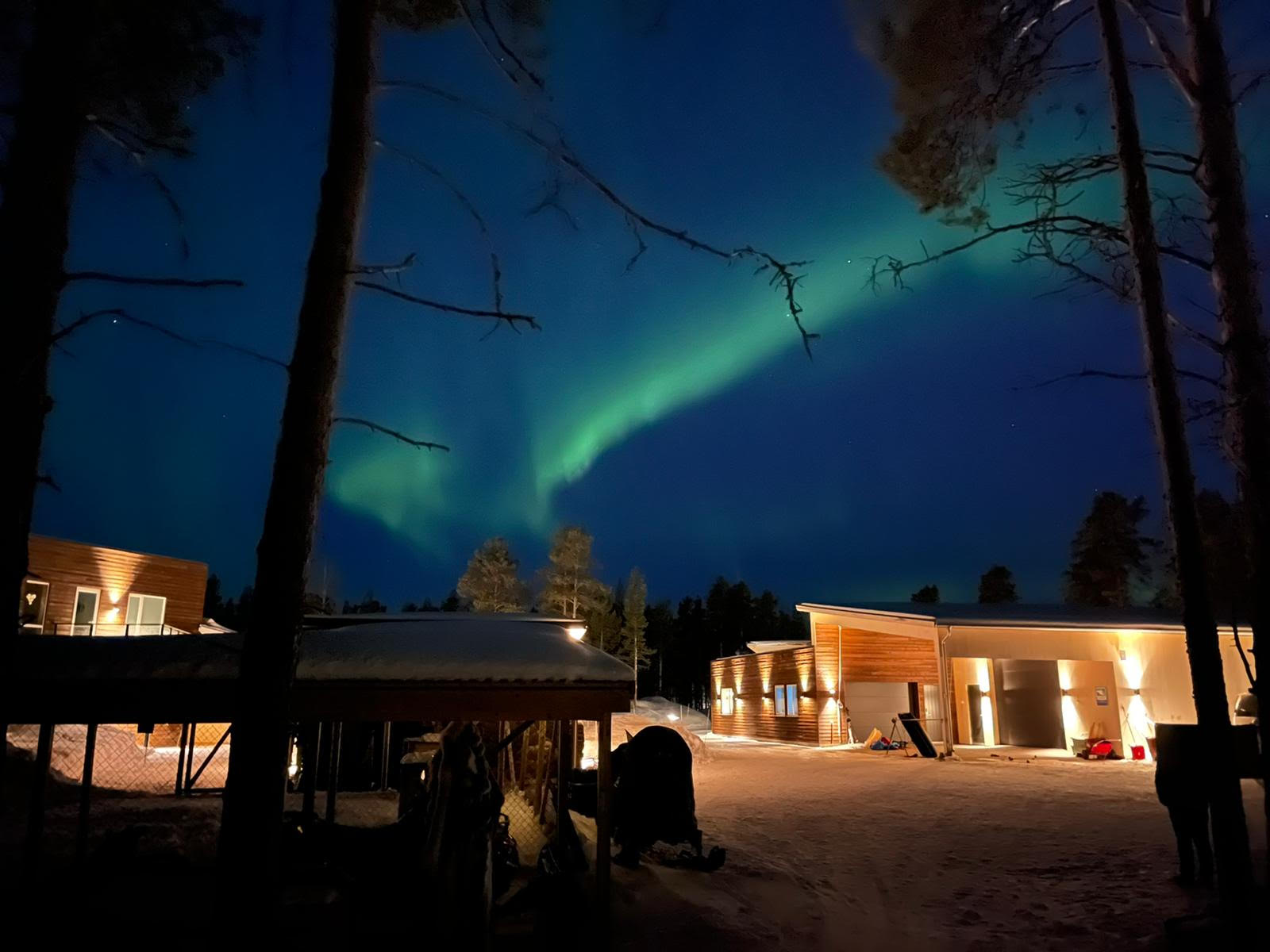 Northern lights over a settlement in the Arctic, Norway
