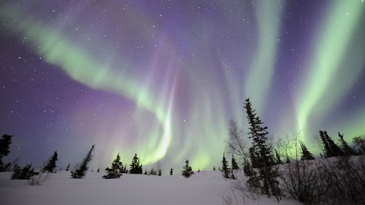 Northern Lights, Northwest Territories, Canada.jpg