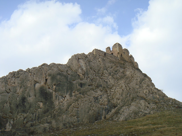 CETATEA COLTESTI DSC02227