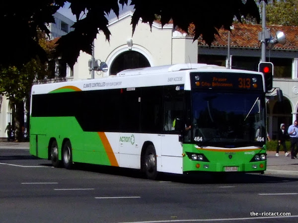 buses