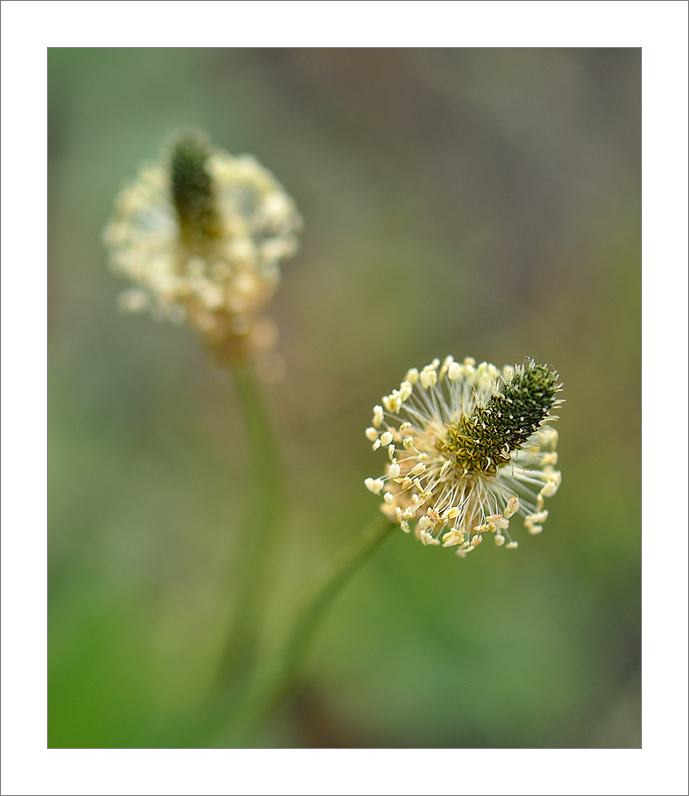 _DSC5691web-copia.jpg