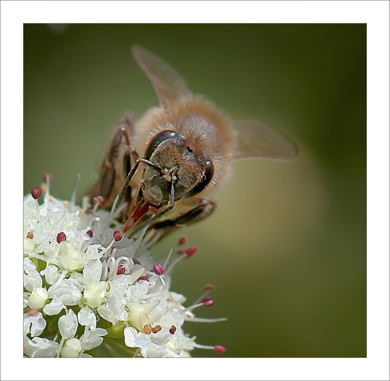 _DSC5378_2-copia.jpg