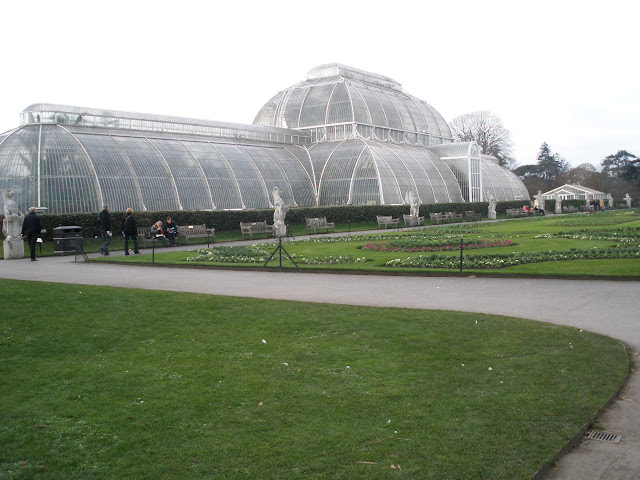 Tropical Extravaganza - Kew Garden dans boite à images